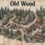 Old wood - Ville médiévale - Carte - Prompt Midjourney