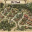 Old wood - Ville médiévale - Carte - Prompt Midjourney
