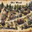 Old wood - Ville médiévale - Carte - Prompt Midjourney